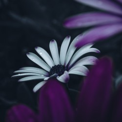 Standing Out