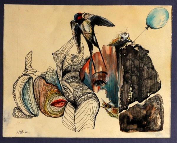 swallow. Print