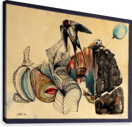 swallow. Canvas Print