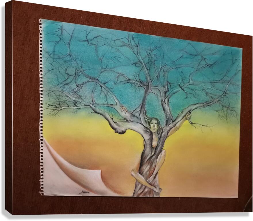 46x60.cm Canvas Print
