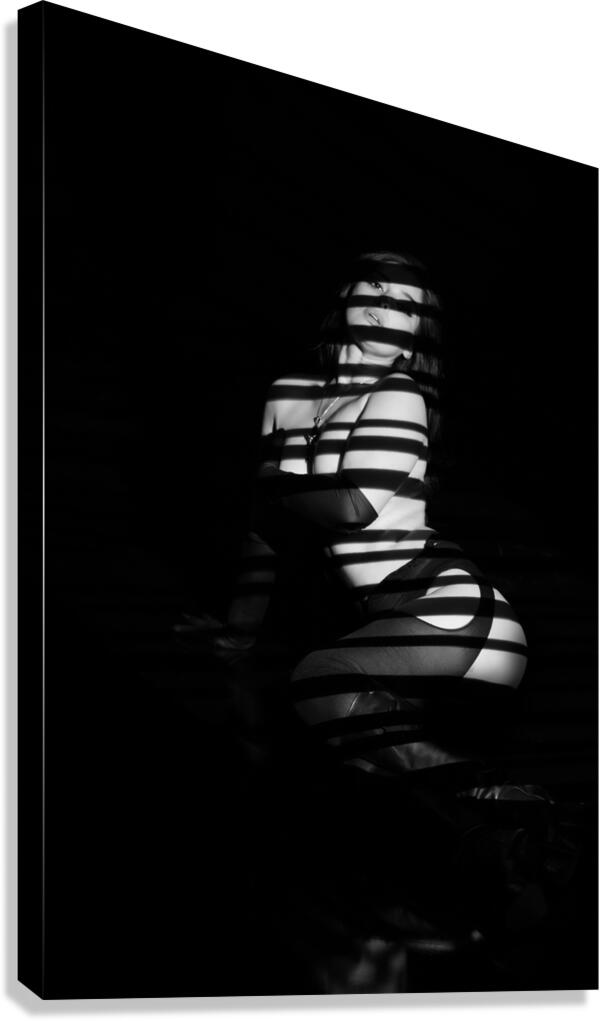 Blinds Canvas Print