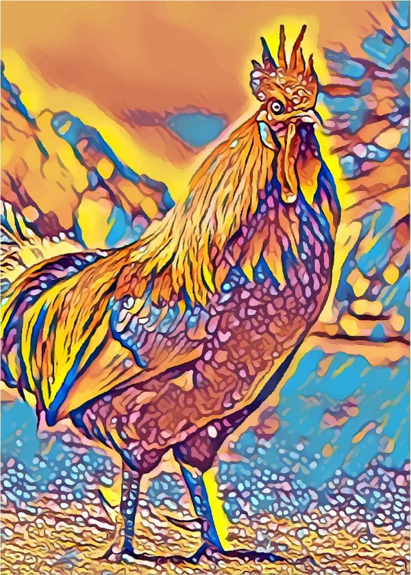 Cock Yellow Blue Mix by Indian Unity Club