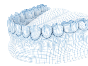 Morphology of mandibular human gum and teeth