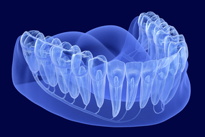 Teeth root anatomy Xray view