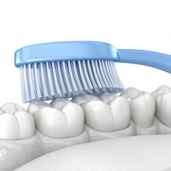 Toothbrush cleaning teeth