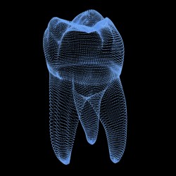 Molar tooth from dots 3D illustration