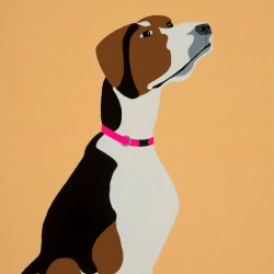 Coon Hound Dog portrait