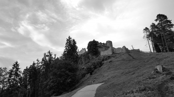 Castle Ehrenberg Print