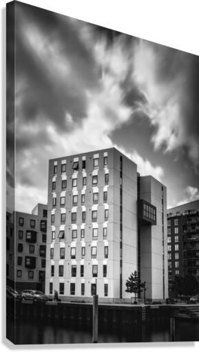 Rise High Canvas Print