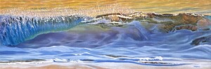 SHOREBREAK 11.5