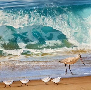 SHOREBIRDS