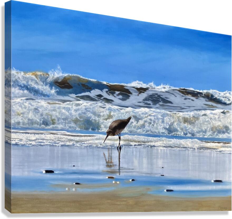 SHOREBIRD Canvas Print