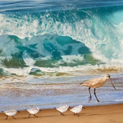 SHOREBIRDS