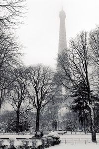 Black and white Eiffel tower from garden