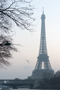 Eiffel tower early morning in the haze