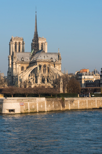 Notre Dame cathedral at sunrise in Paris