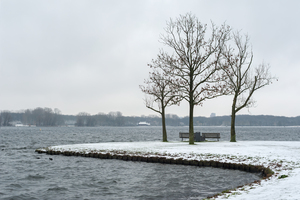 Snowy landscape with naked trees by a lake