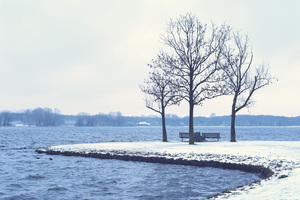 Snowy landscape with naked trees and a lake in a park