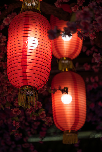 Red Chinese Lanterns and Blossom Tree at night 1. by Philippe Lejeanvre
