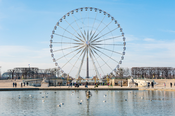 Paris ferris-wheel against blue sky from the Tuileries park Print