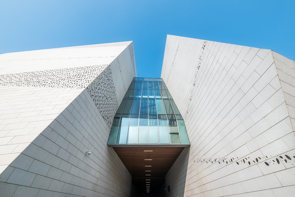 Chengdu Natural History Museum 3 by Philippe Lejeanvre