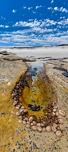 Rock Pool