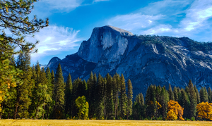 Dome over Meadow