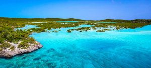 Dreaming in blue