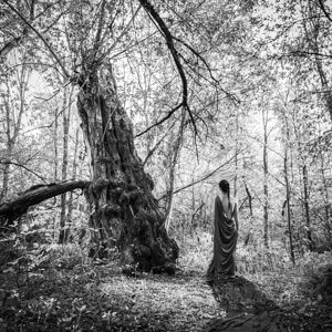 le monde regarde ailleurs -3