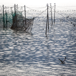 Partons la mer est belle