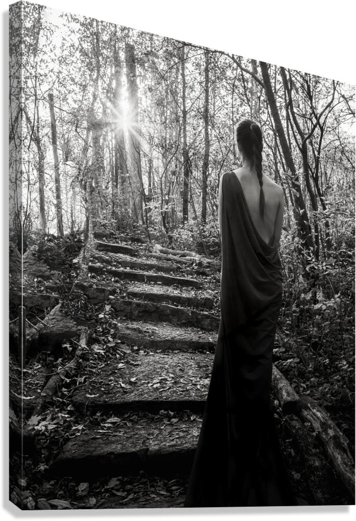 Le monde regarde ailleurs - 4 Canvas Print