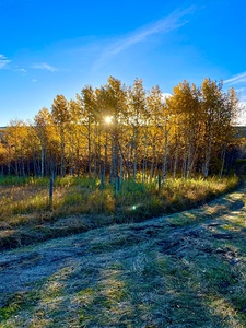 IMG 2246 cool colors in this landscape