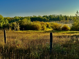 IMG 4260 mountain field of color