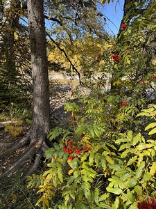 IMG 4378 landscape with colors