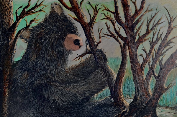 IMG 4200 winter is coming for the lonely black bear Print