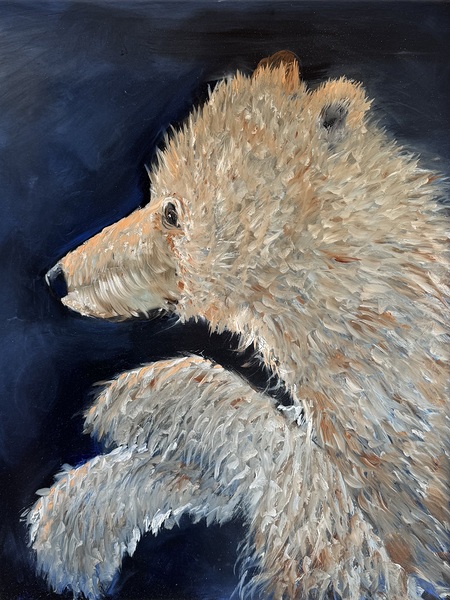 IMG 4360  Young polar bear Print