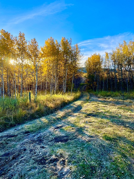 IMG 2247  Beautiful fall day Print