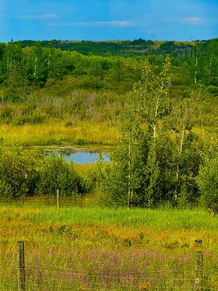 IMG 4042 high mountain pond Print