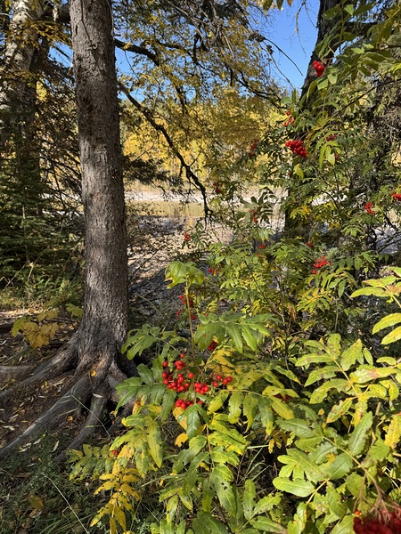 IMG 4378 landscape with colors Print