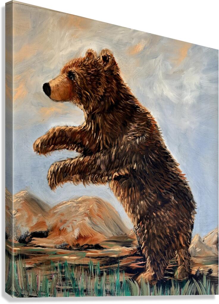 IMG 4326 grizzly cub looking for mama Canvas Print