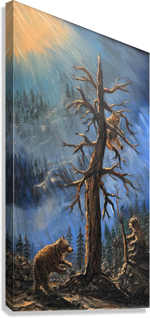 IMG 4215  Three bears playing in a tall pine tree Canvas Print