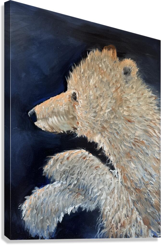 IMG 4360  Young polar bear Canvas Print