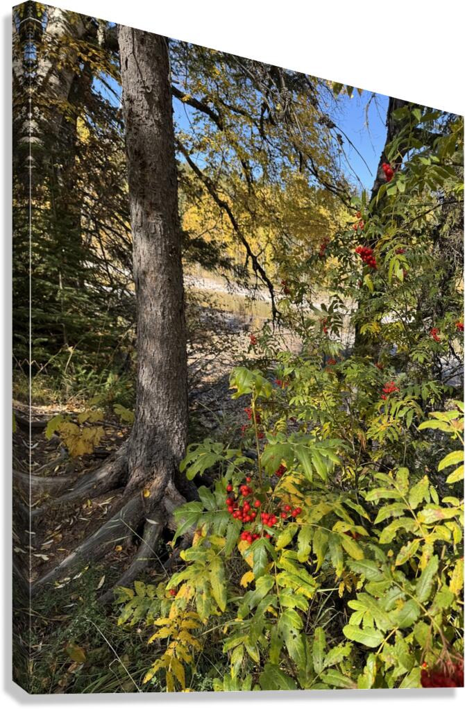 IMG 4378 landscape with colors Canvas Print