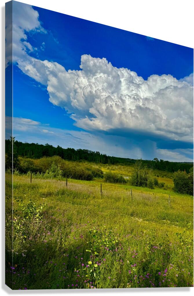 IMG 4040.blue sky and green  Canvas Print