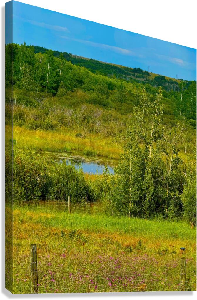 IMG 4042 high mountain pond Canvas Print