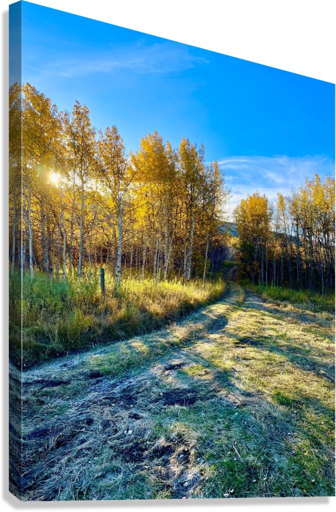 IMG 2247  Beautiful fall day Canvas Print