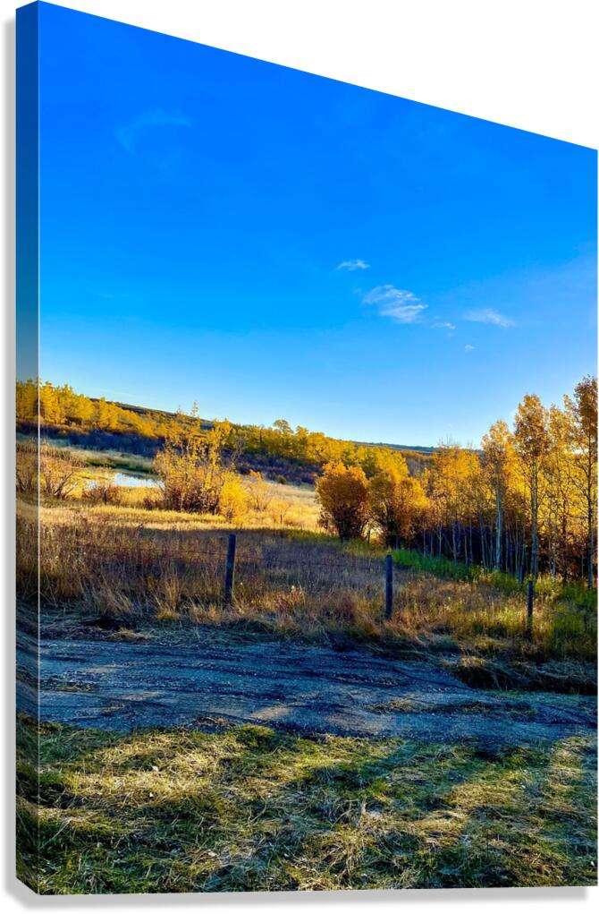 IMG 2245 Beautiful scene in the mountains Canvas Print