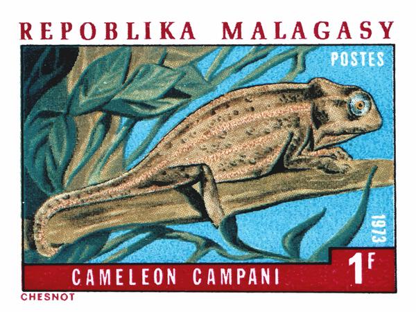 1973 MADAGASCAR Chameleon Campani Stamp by Retrographics