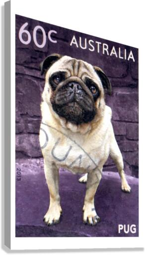 2013 AUSTRALIA Pug Dog Postage Stamp Canvas Print
