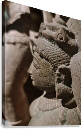 Profile Canvas Print